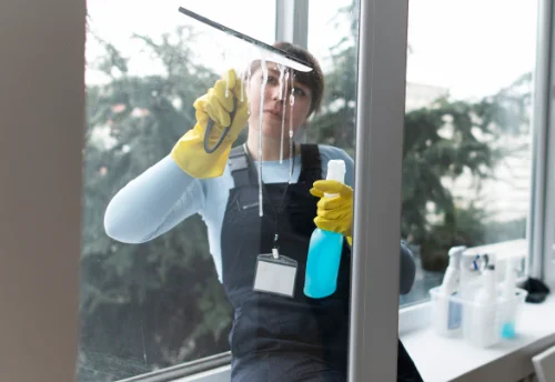 Nettoyage de vitres intérieures et extérieures à Ludes